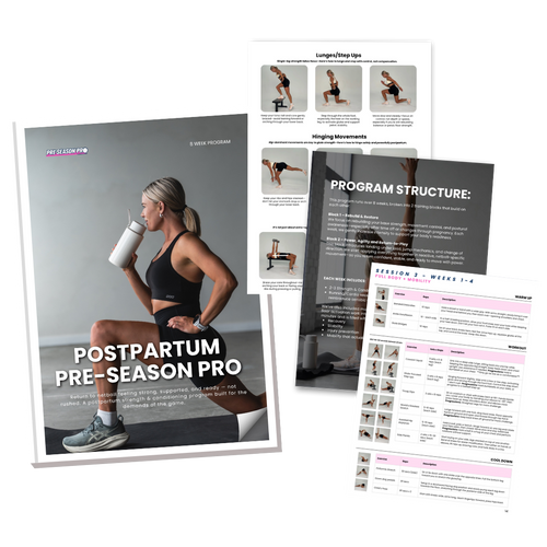 Postpartum Netball Program